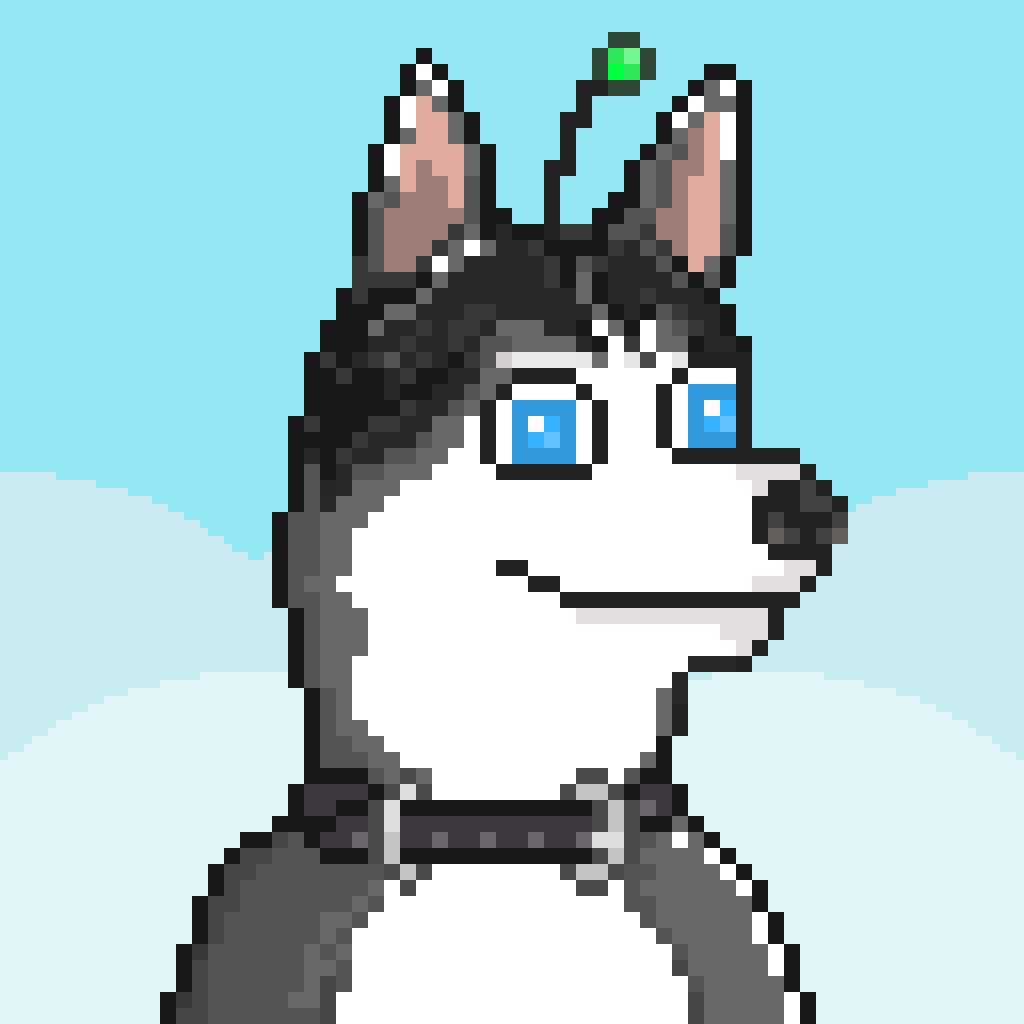 Husky #89